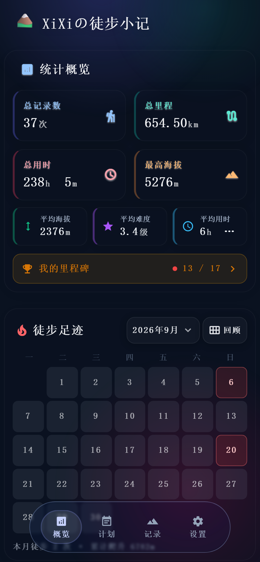 深色模式下的概览页